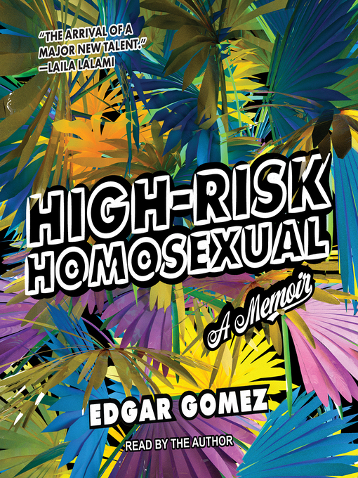 Cover image for High-Risk Homosexual